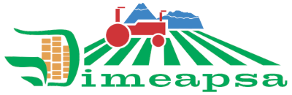 DIMEAPSA